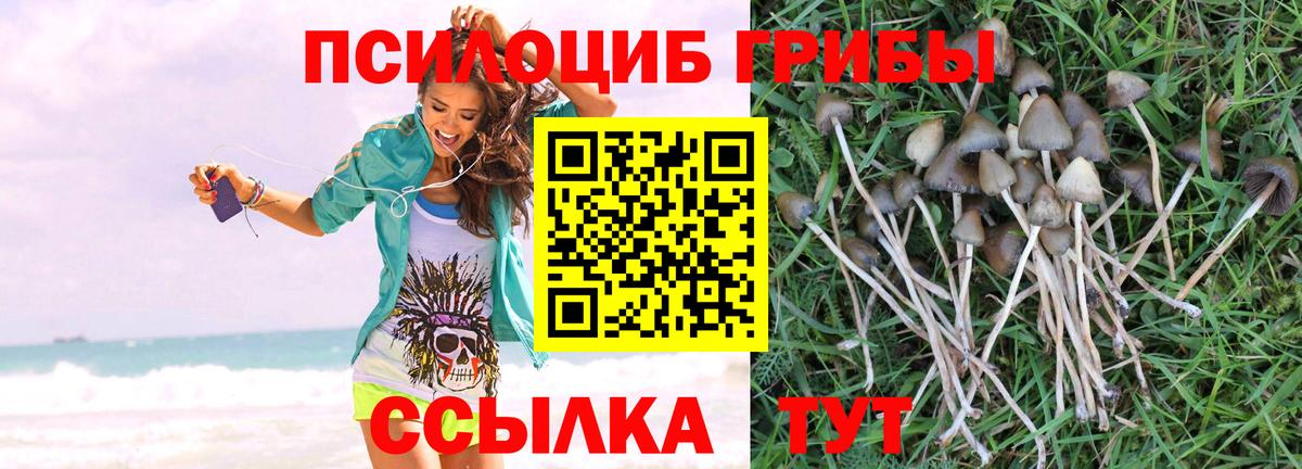 Галлюциногенные грибы ЛСД Мурманск